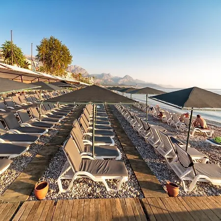 Golden Lotus Kemer
